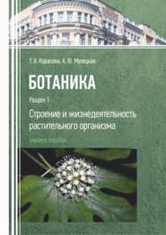 бесплатно читать книгу Ботаника. Раздел 1. Строение и жизнедеятельность растительного организма автора Татьяна Карасёва