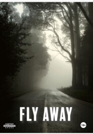 бесплатно читать книгу Fly Away автора Гусейн Исмаилов