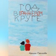 бесплатно читать книгу Год в оранжевом круге автора Арина Громова