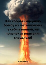 Как собрать ядерную бомбу из металлолома у себя в ванной, не привлекая внимания спецслужб