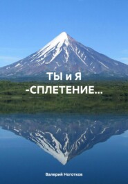 бесплатно читать книгу ТЫ и Я -СПЛЕТЕНИЕ… автора Валерий Ноготков