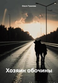 бесплатно читать книгу Хозяин обочины автора Ольга Тушнова