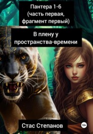 бесплатно читать книгу пантера: 1-6 (часть первая, фрагмент первый) В плену у пространства-времени автора Стас Степанов