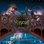 бесплатно читать книгу Пекарня Чудсов. Щепотка волшебства автора Кэтрин Литтлвуд