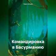 бесплатно читать книгу Командировка в Басурманию автора Павел Алтухов