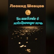 бесплатно читать книгу Волшебство в новобрачную ночь автора Леонид Шевцов