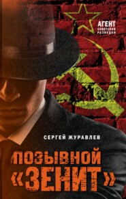 бесплатно читать книгу Позывной «Зенит» автора Сергей Журавлев