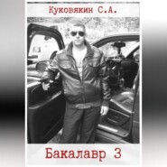 бесплатно читать книгу Бакалавр 3 автора Сергей Куковякин