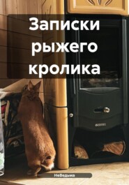 бесплатно читать книгу Записки рыжего кролика автора  НеВедьма