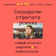 бесплатно читать книгу Государство строгого режима. Внутри китайской цифровой антиутопии автора Джеффри Кейн