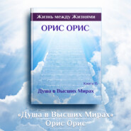 бесплатно читать книгу Душа в Высших Мирах автора Орис Орис