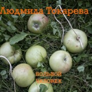 бесплатно читать книгу Большой человек автора Людмила Токарева