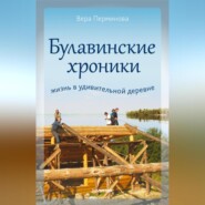 бесплатно читать книгу Булавинские хроники. Жизнь в удивительной деревне автора Вера Перминова