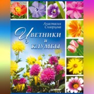 бесплатно читать книгу Цветники и клумбы автора Анастасия Скворцова