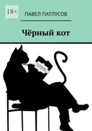 бесплатно читать книгу Чёрный кот. Рассказы. Сказки. Заметки автора Павел Патлусов