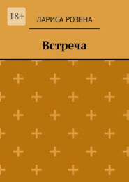 бесплатно читать книгу Встреча автора Лариса Розена