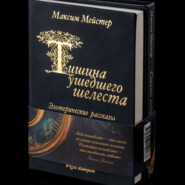 бесплатно читать книгу Тишина ушедшего шелеста автора Максим Мейстер