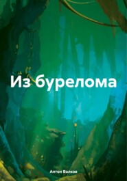 бесплатно читать книгу Из бурелома автора Антон Волков