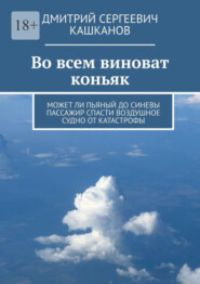 бесплатно читать книгу Во всем виноват коньяк. Может ли пьяный до синевы пассажир спасти воздушное судно от катастрофы автора Дмитрий Кашканов