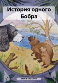 бесплатно читать книгу Сказка: История одного Бобра автора Ирина Сату