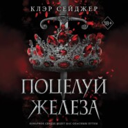 бесплатно читать книгу Поцелуй железа автора Клэр Сейджер