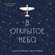 бесплатно читать книгу В открытое небо (основано на жизни французского писателя и летчика Антуана де Сент-Экзюпери) автора Антонио Итурбе