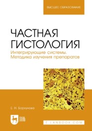 бесплатно читать книгу Частная гистология. Интегрирующие системы. Методика изучения препаратов. Учебно-методическое пособие для вузов автора Е. Борхунова