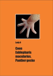 бесплатно читать книгу Сoon Eublepharis macularius. Panther gecko автора Lady O