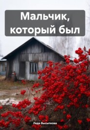 бесплатно читать книгу Мальчик, который был автора Леда Высыпкова