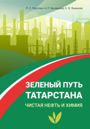 бесплатно читать книгу Зелёный путь Татарстана. Чистая нефть и химия автора Алина Багавеева