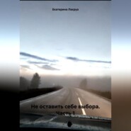 бесплатно читать книгу Не оставить себе выбора. Часть 1 автора Екатерина Лакруа