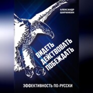 бесплатно читать книгу Видеть. Действовать. Побеждать. Издание второе. Эффективность по-русски автора Александр Ширинкин