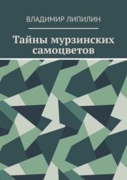 бесплатно читать книгу Тайны мурзинских самоцветов автора Владимир Липилин