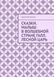 бесплатно читать книгу Сказки. Малыш в волшебной стране Галл. Лесной царь автора Николай Васин