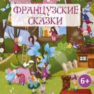 бесплатно читать книгу Французские сказки автора  Народное творчество (Фольклор)