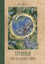 бесплатно читать книгу Хроники Ускользающего мира автора Ника Вереск