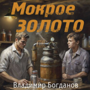 бесплатно читать книгу Мокрое золото автора Владимир Богданов