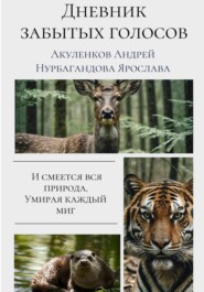 бесплатно читать книгу Дневник забытых голосов автора Андрей Акуленков