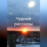 бесплатно читать книгу Чудные рассказы автора Владимир Гасимов