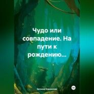 бесплатно читать книгу Чудо или совпадение. На пути к рождению… автора Евгения Корнилова