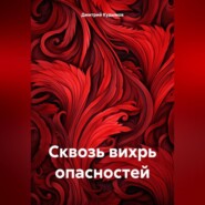 бесплатно читать книгу Сквозь вихрь опасностей автора Дмитрий Кудымов