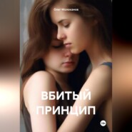 бесплатно читать книгу ВБИТЫЙ ПРИНЦИП автора Олег Молоканов