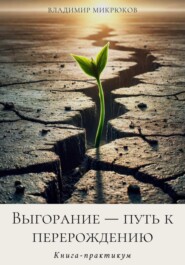 бесплатно читать книгу Выгорание – путь к перерождению автора Владимир Микрюков