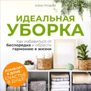 бесплатно читать книгу Идеальная уборка автора Елена Груздева