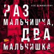 бесплатно читать книгу Раз мальчишка, два мальчишка автора Ася Демишкевич