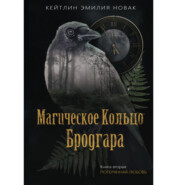 бесплатно читать книгу Магическое Кольцо Бродгара. Часть 2. Потерянная Любовь. автора Кейтлин Эмилия Новак