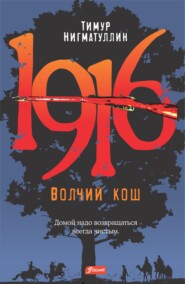 бесплатно читать книгу 1916. Волчий кош автора Тимур Нигматуллин