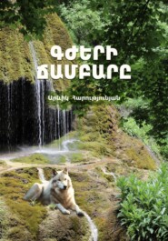 бесплатно читать книгу Գժերի ճամբարը автора Аревик Арутюнян