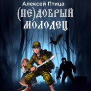 бесплатно читать книгу (Не)добрый молодец автора Алексей Птица