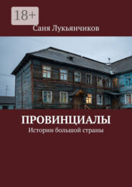 бесплатно читать книгу Провинциалы. Истории большой страны автора Саня Лукьянчиков